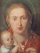 Albrecht Durer The Madonna with a Carna-tion oil painting